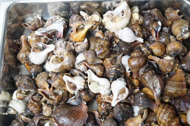 磯つぶ貝 エゾバイ の冷凍保存の方法と食べ方 ぺピートのブログ
