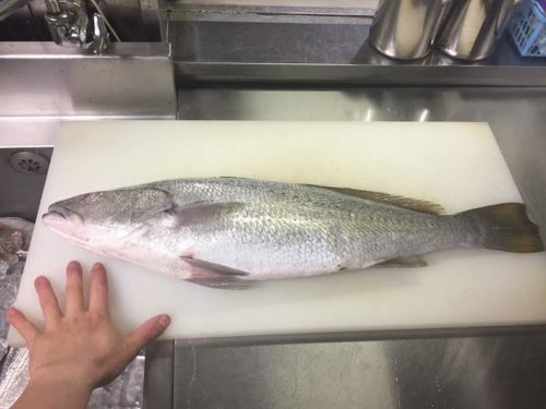 オオニベは何がなんでも焼いて食べて欲しい 高級魚になりつつある魚の食べ方 ぺピートのブログ