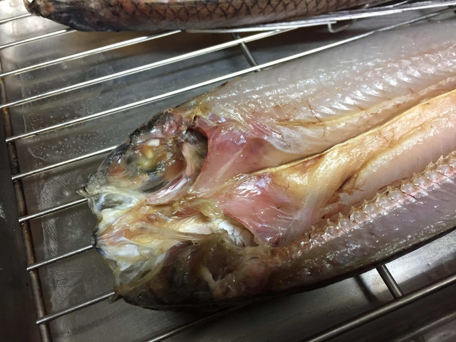 トビウオ 飛び魚 の美味しい食べ方 一夜干し を作ろう ぺピートのブログ