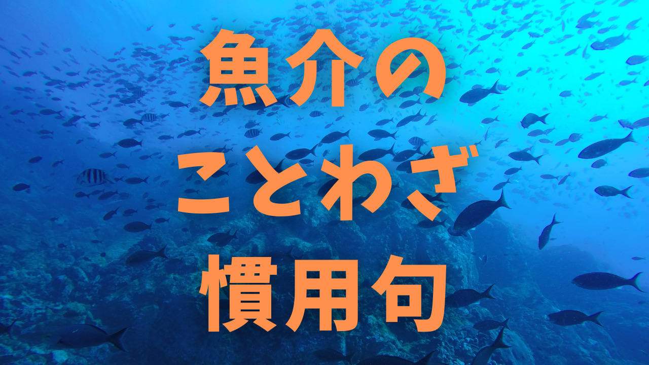 魚のことわざ、慣用句の一覧 | 魚と野菜のブログ