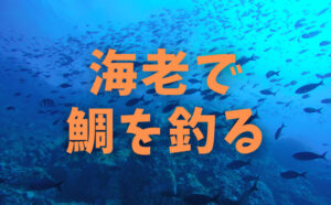 ことわざ「海老で鯛を釣る」の本当の意味とは? 魚と野菜のブログ
